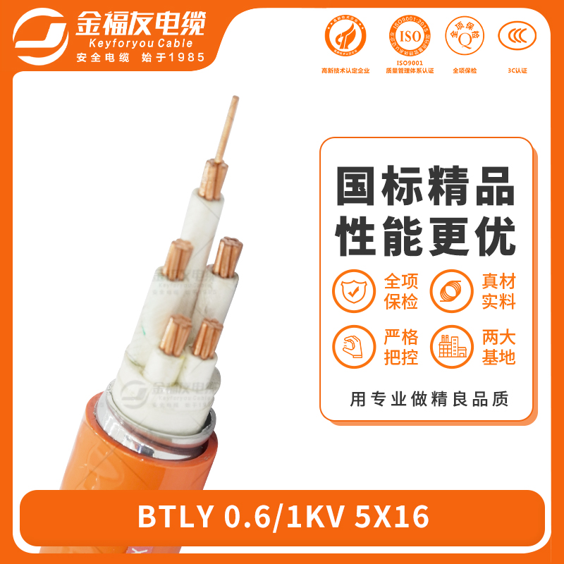 金福友产品-6.19-BTLY-0.6-1kV-5X16