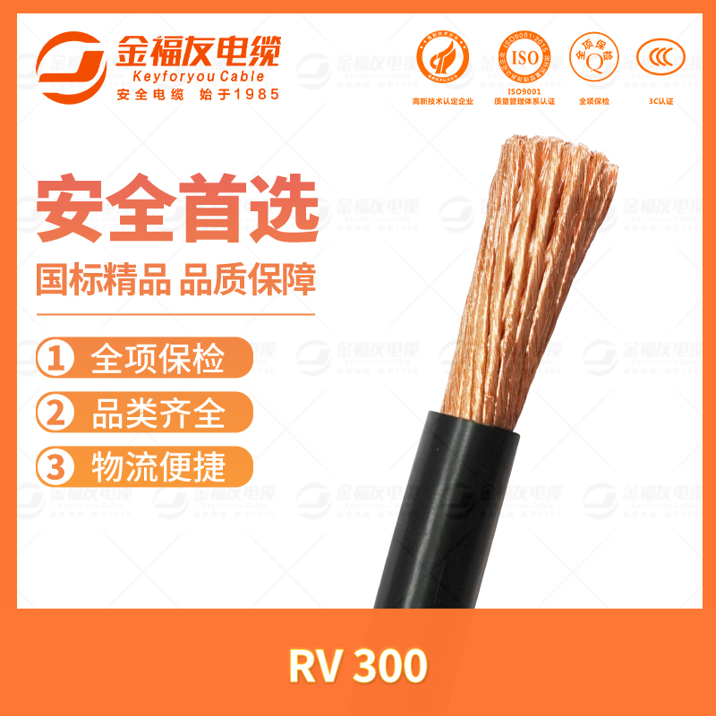 金福友产品-7.11-RV-300