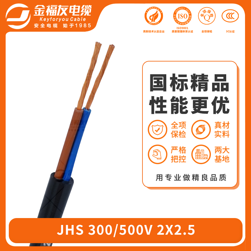 金福友产品-6.17-JHS-300-500V-2X2.5