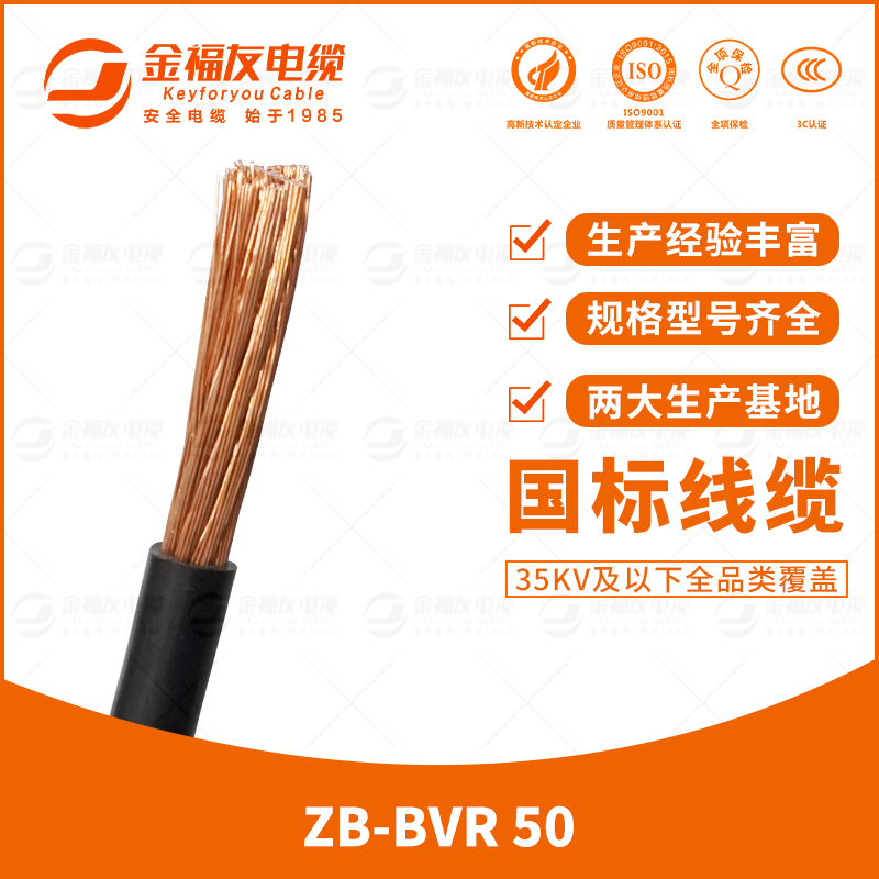 金福友产品-7.17-ZB-BVR-50